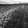 Walking in the Winter Field